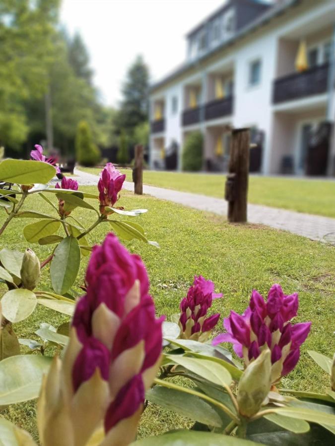 Gaestehaus Falkenhof Westensee 外观 照片